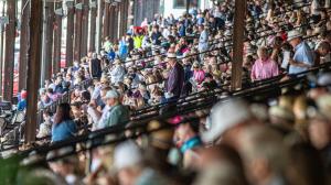 Spinaway Stakes, Saratoga Race Course, Breeders' Cup Juvenile, horse racing, America's Best Racing, ABR